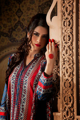 Latest Indian Styles Of Salwar Kameez Designs Latest Designs Patterns 2013 with Price collar Nect Designs