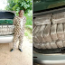 Ex-Army Officer, One Other Arrested With N7.5m Worth Of Indian Hemp As Troops Bust Drug Syndicate In Kaduna