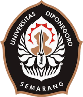 passing grade UNDIP 2013 terbaru