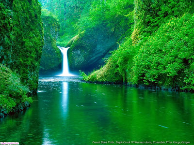 Waterfall Hd Wallpaper