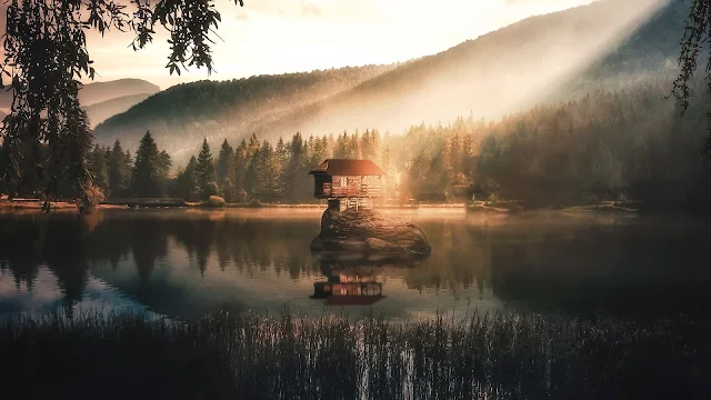 Casa, Ilha, Lago, Floresta, Nevoeiro