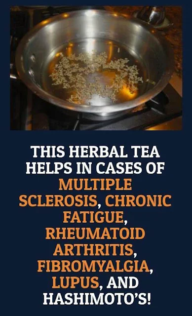 This Herbal Tea Helps in Cases of Multiple Sclerosis, Chronic Fatigue, Rheumatoid Arthritis, Fibromyalgia, Lupus, and Hashimoto’s! (with Recipe!)