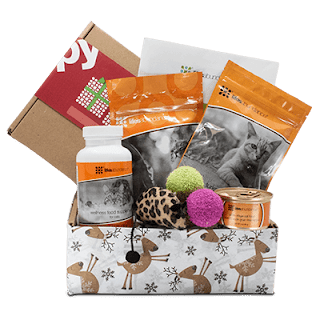 gift basket for cats 2019