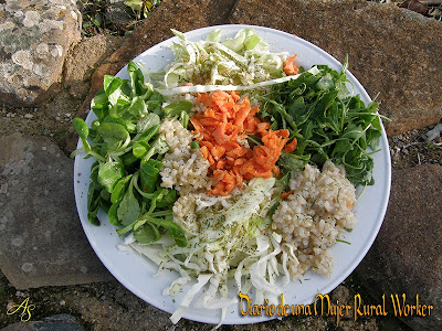 Ensalada con rúcula, canónigos y arroz integral