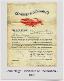 John Nagy Certificate of Declaration 1896