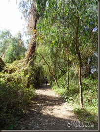 SAM_0074