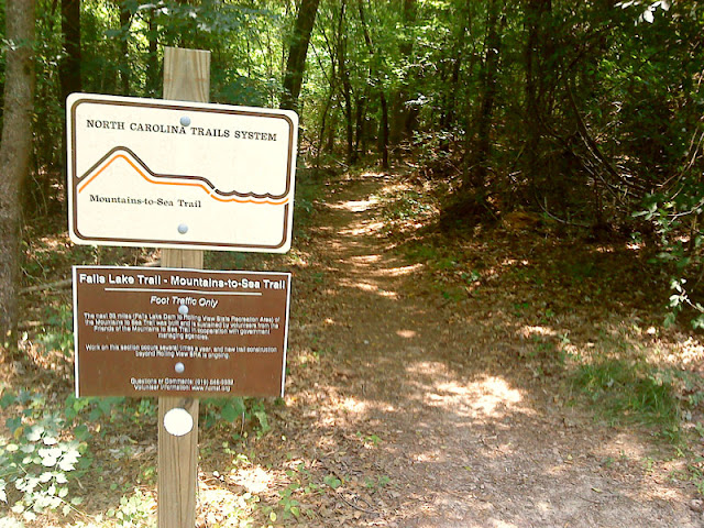 Falls Lake Trail Section 1 turns to single-track for a bit here