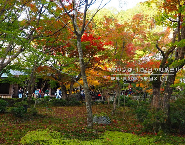 圓光寺円光寺の紅葉