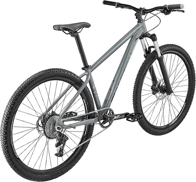 Conquer New Heights with the Eastern Alpaka 29" Men's Hardtail Mountain Bike