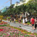View album