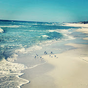Florida Beach (beach)