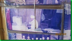 IMG_4856 IMG_4856
