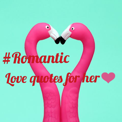 100+ best Love Quotes - Romantic Quotes to Girlfriend & Wife