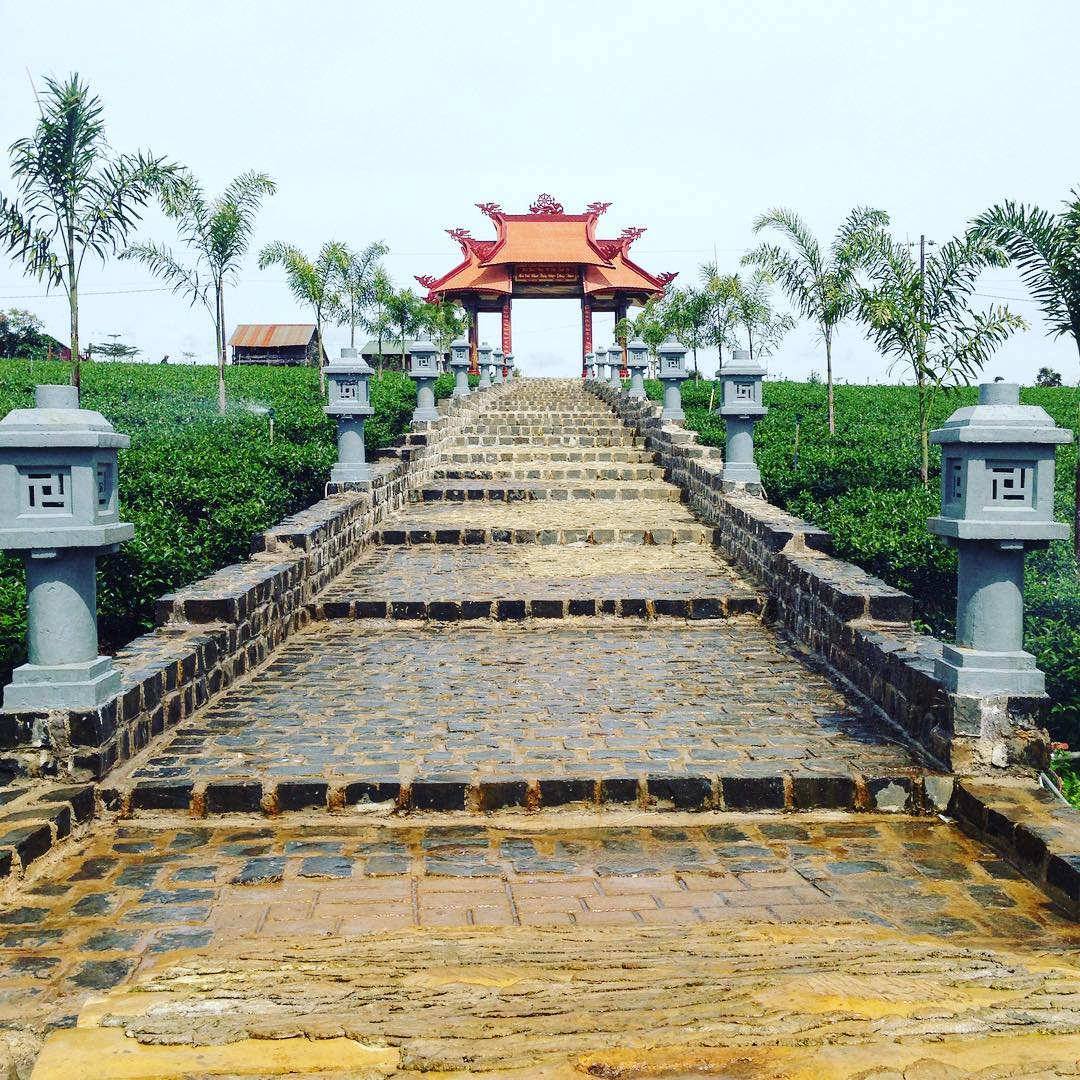 chùa A Di Đà bảo lộc địa danh tâm linh nổi tiếng tại thành phố Bảo Lộc