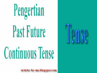 Pengertian Past Future Continuous Tense