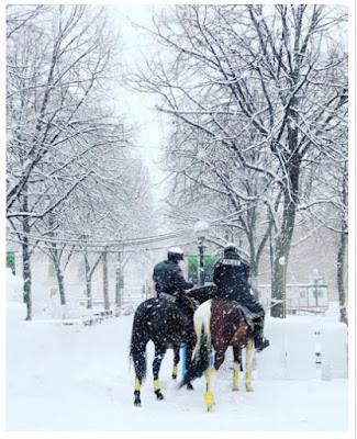 http://minnesota.cbslocal.com/2016/02/02/st-paul-mounted-officers-fare-well-in-snowy-streets/