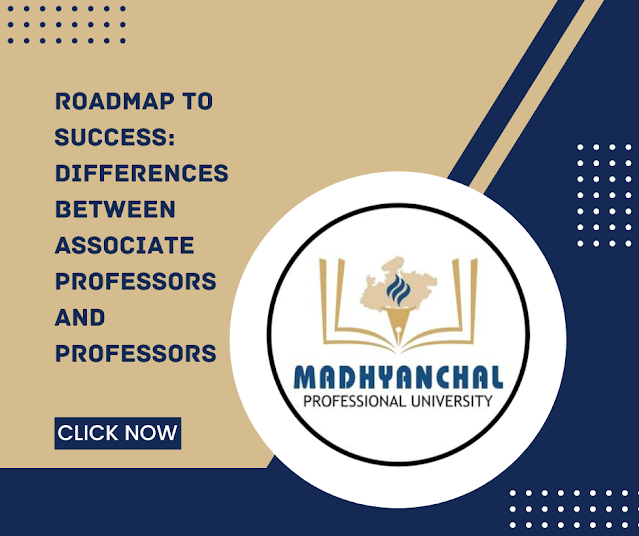 Roadmap to Success: Differences between Associate Professors and Professors