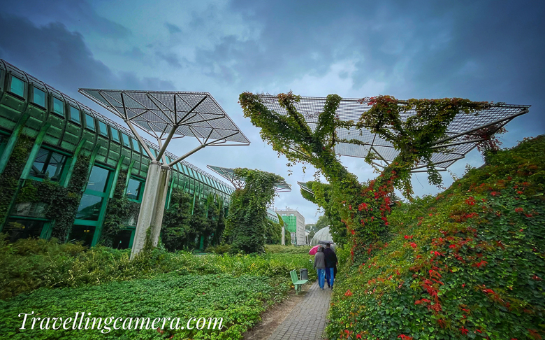 The Garden's Design and Ambiance    Designed by the renowned landscape architect Irena Bajerska, the rooftop garden is an enchanting blend of botanical wonder and artistic vision. The garden's layout is both structured and free-flowing, with meticulously manicured paths weaving through lush greenery. Stone pathways wind their way among pergolas covered in climbing vines, creating an atmosphere of harmony and serenity.