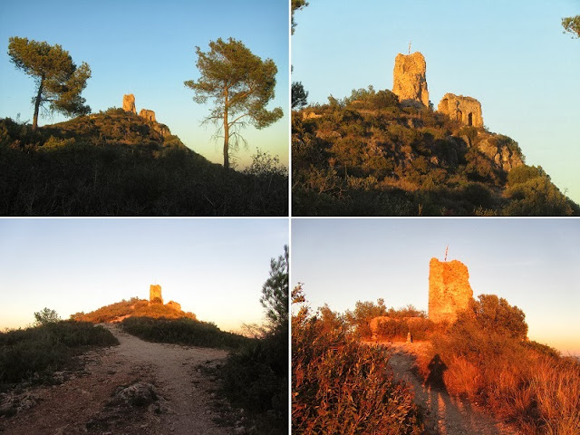 El Castellot-Puig de la Cogulla-Torre de Cal Pascol, imatges del Castellot