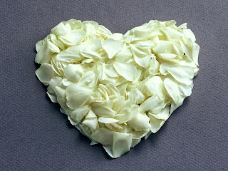 love bunga mawar putih