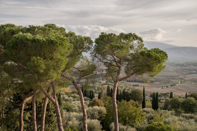 Tuscany, view from Pienza, Gladiator