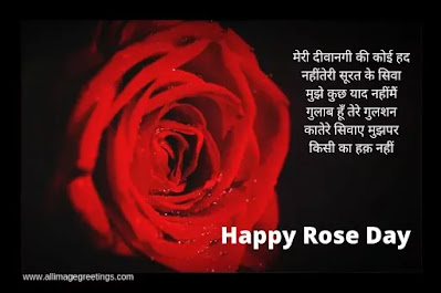 rose day 2022 images