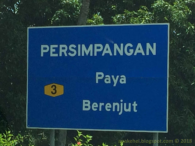 Paya Berenjut