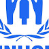 Human Rights Group - Human Rights Groups