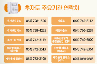 추자도 여객선터미널, 매표소 전화번호(상추자도, 하추자도) 최신 정리