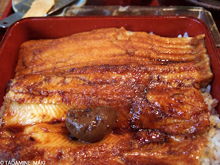 Anago, Japanese cusine, Tokyo