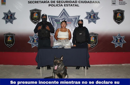 Oficial canino detecta droga en la terminal de camiones de Cancún