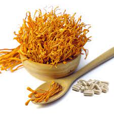 Cordyceps Mushroom Supplier In Andorra | Where To Buy Cordyceps Militaries Mushroom In Andorra? | Cordyceps Mushroom Supplier Company In Andorra