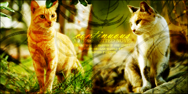 Spottedleaf, the greatest medicine cat of all time, and Firestar,