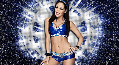 Brie Bella Body Weight Height Shoe & Bra Size Stats