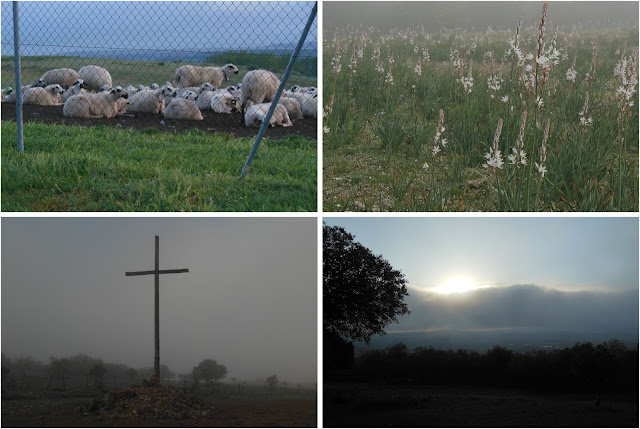 Matagrande, Atapuerca, camino, Jola Stępień