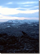 Carrion Crow atop Arthur's Seat