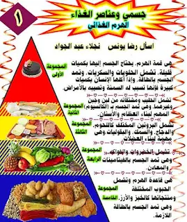 مذكرة شرح درس جسمي وعناصر الغذاء منهج اللغة العربية للصف الثالث الابتدائى ترم اول