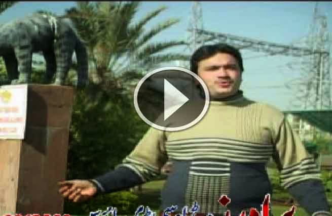 Pashto Album Best Of Raees Bacha Vol 009 Video 2