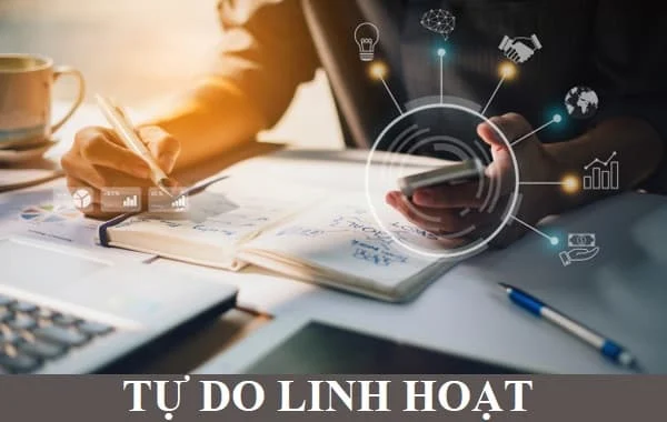 Tự Do và Linh Hoạt trong công việc