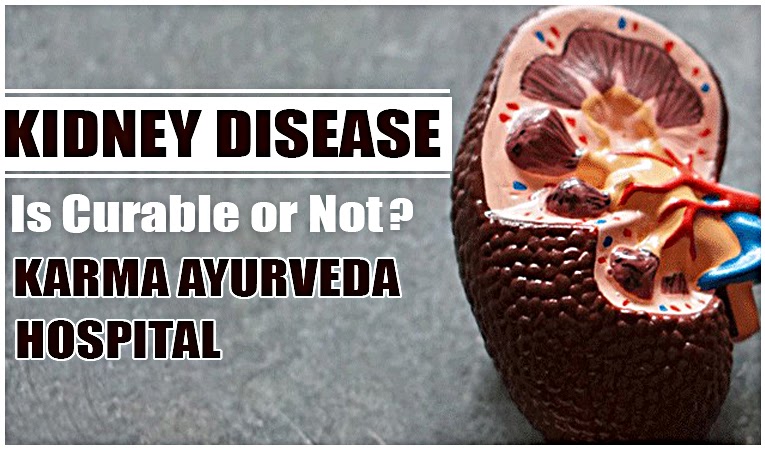 Kidney Disease Is Curable or Not? Karma Ayurveda Hospital