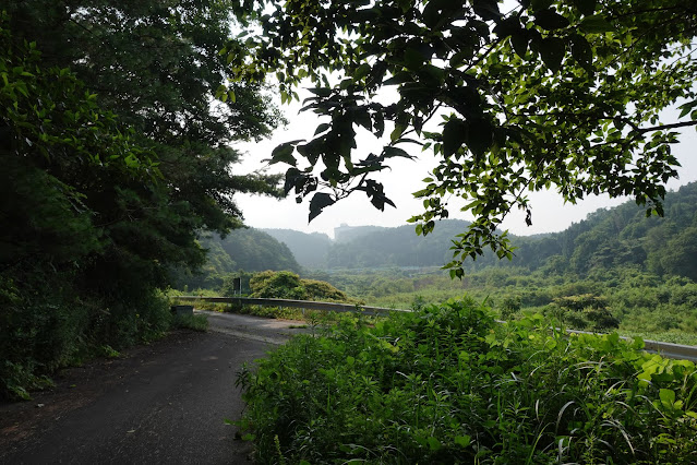 佐陀川の際の道を帰ります