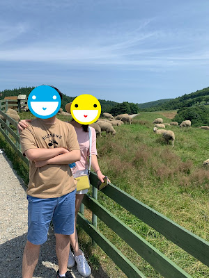 평창 켄싱턴호텔 평창 양때목장
