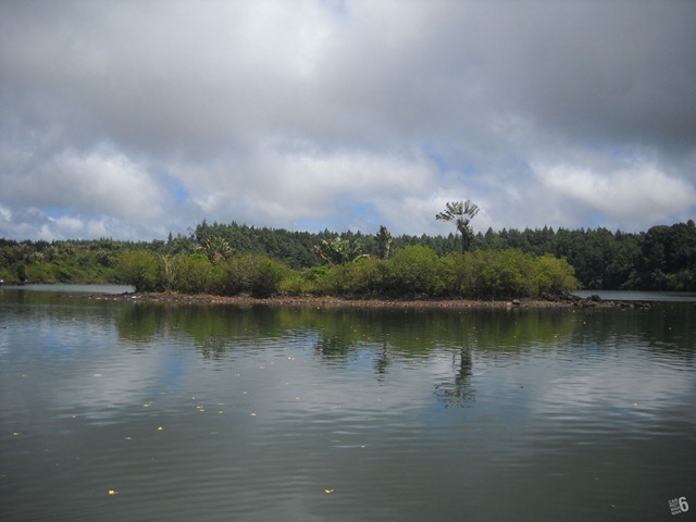 DSCN0248