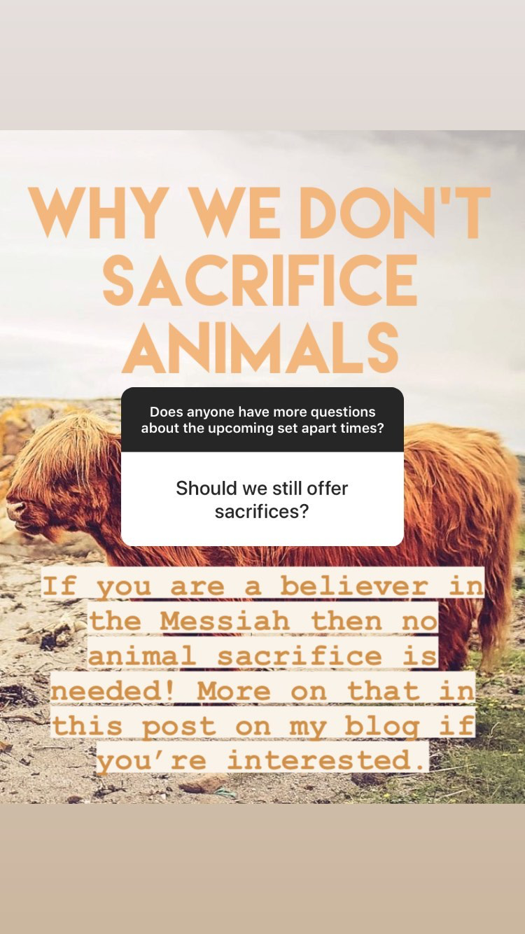 Do believers today need to sacrifice animals to be Torah observant? | Land of Honey