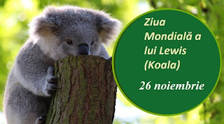 26 noiembrie: Ziua Mondială a lui Lewis (Koala)