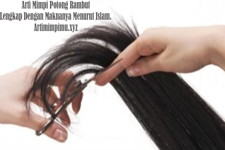 6 Arti Mimpi  Potong Rambut  Lengkap Dengan Maknanya Menurut  