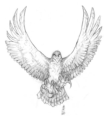Crips Tattoo: Hawk, designed by me. Needles: 5RL | 13M