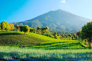 Taman Nasional Kerinci Seblat