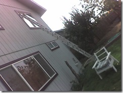 MoFo_102009_003