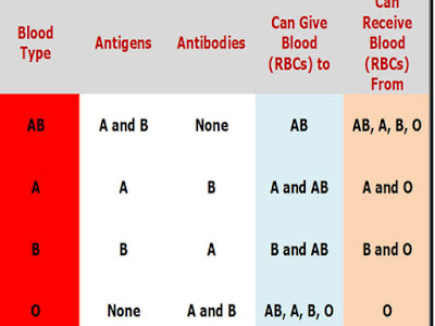 blood type